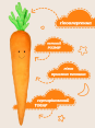 Сплюшка Морквина