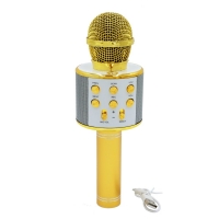 Музична іграшка  "Мікрофон" HL-WS858M