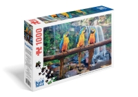 Пазл 1000 елементів «Синьо-жовті Арарауна» 