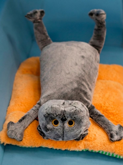 Подарункова іграшка "Кіт Пилип"