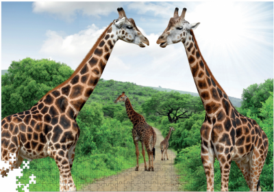 Пазл 1000 елементів «Сафарі»