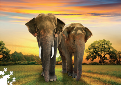 Пазл 1000 елементів «Африканські слони»